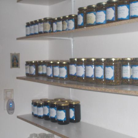 Marika Apartment Киониа Екстериор снимка
